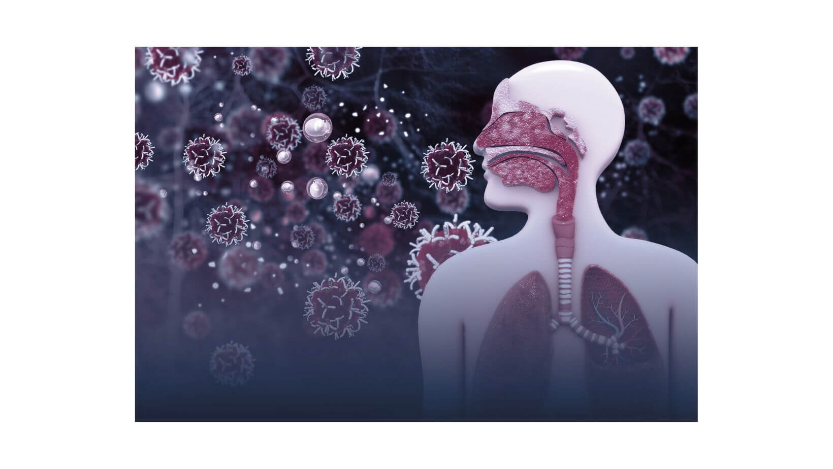 Infection Prevention and Control in the News